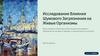 Исследование влияния шумового загрязнения на живые организмы