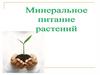 Минеральное питание растений