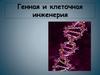 Вирусная и генная инженерия