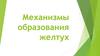 Механизмы образования желтух