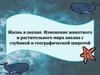 Жизнь в океане. Изменение животного и растительного мира океана с глубиной и географической широтой