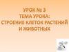 Строение клеток растений и животных. Урок № 3