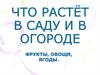 Что растёт в саду и в огороде?