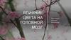 Влияние цвета на головной мозг