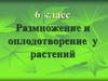 Размножение и оплодотворение у растений (6 класс)