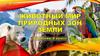 Животный мир природных зон Земли