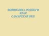 Экономика родного края. Самарская область
