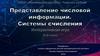 Представление числовой информации. Системы счисления