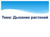 Дыхание растений