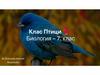 Класс Птицы. Биология. 7 класс