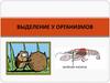 Выделение у организмов