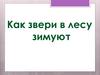 Как звери в лесу зимуют?