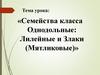 Семейства класса однодольные: лилейные и злаки (мятликовые)»