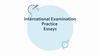 International Examination. Practice. Essays