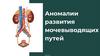 Аномалии развития мочевыводящих путей