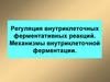 Регуляция внутриклеточных ферментативных реакций. Механизмы внутриклеточной ферментации