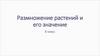 Размножение растений и его значение