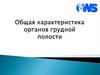 Общая характеристика органов грудной полости