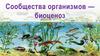 Сообщества организмов - биоценоз