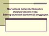 Магнитное поле постоянного электрического тока. Вектор и линии магнитной индукции