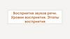 Восприятия звуков речи. Уровни восприятия. Этапы восприятия