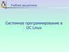 Системное программирование в ОС Linux
