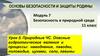 Безопасность в природной среде  (11 класс)