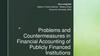 Problems and Countermeasures in Financial Accounting of Publicly Financed Institutions