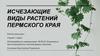 Исчезающие виды растений Пермского края