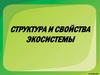 Структура и свойства экосистемы