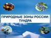 Природные зоны России: тундра