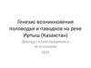 Генезис возникновения половодья и паводков на реке Иртыш (Казахстан)