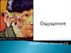 Ощущение