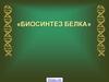 Биосинтез белка