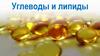Углеводы и липиды