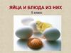 Яйца и блюда из них. 5 класс