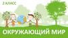 В гости к весне. Окружающий мир, 2 класс