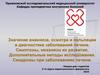 Значение анамнеза, осмотра и пальпации в диагностике заболеваний печени. Симптомы, механизм их развития. Дополнительные методы