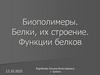 Биополимеры. Белки, их строение. Функции белков