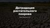 Деградация растительного покрова