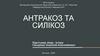 Антракоз та силікоз