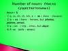 Number of nouns (Число существительных)