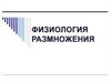Физиология размножения