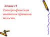 Топографическая анатомия брюшной полости. Лекция 14