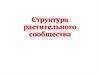 Структура растительного сообщества