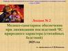 Медико-санитарное обеспечение при ликвидации последствий ЧС природного характера (стихийных бедствий)