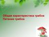 Общая характеристика грибов. Питание грибов