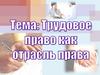 Трудовое право как отрасль права