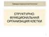 Структурно-функциональная организация клетки