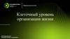 Клеточный уровень организации жизни. Основы клеточной теории, современное состояние